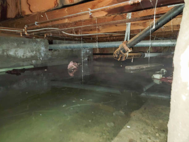 Odor Removal and Sanitization After Water Damage