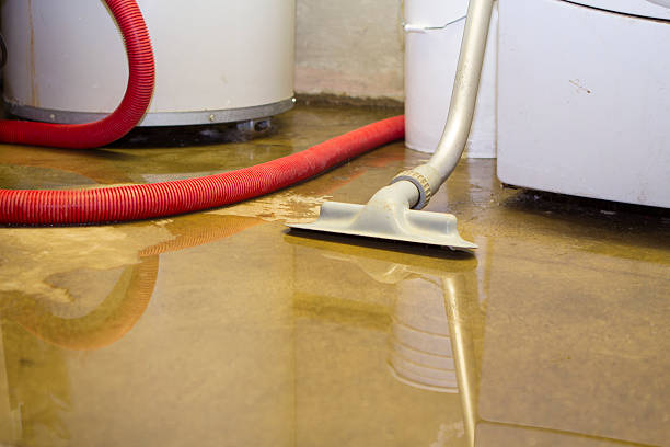 Trusted Water Damage Restoration in La Crescent, MN | Fast, Reliable, and Ready to Assist You